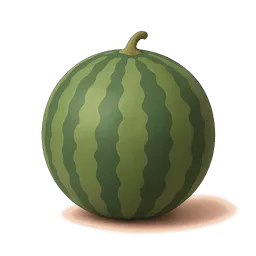 Baby size comparison at 40 weeks pregnant: Watermelon